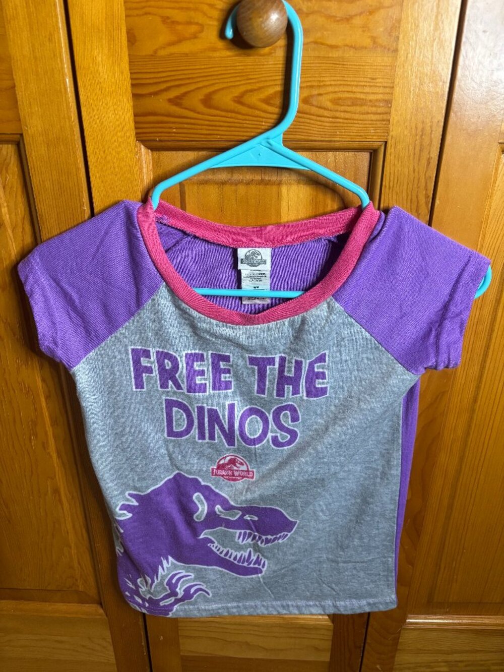 Girls Jurassic World PJ Top and Bottom (Size M)